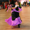 11-12 февраля 2011 года пройдет Межрегиональный фестиваль бального танца